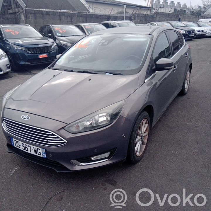 Focus Focus  2060592