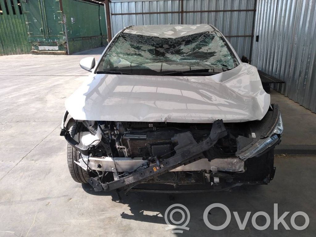 Ioniq Ioniq  95920F2100
