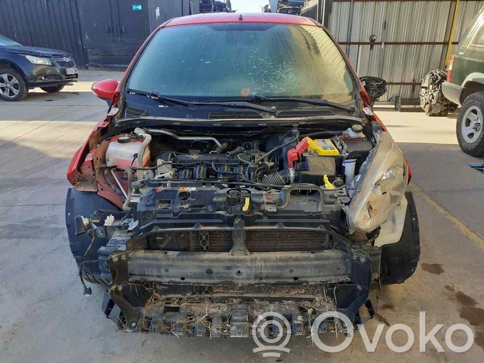 Fiesta Fiesta  C1BBA16E146AC