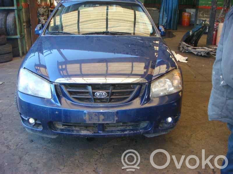 Cerato Cerato