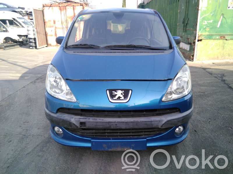 1007 1007  9654343080