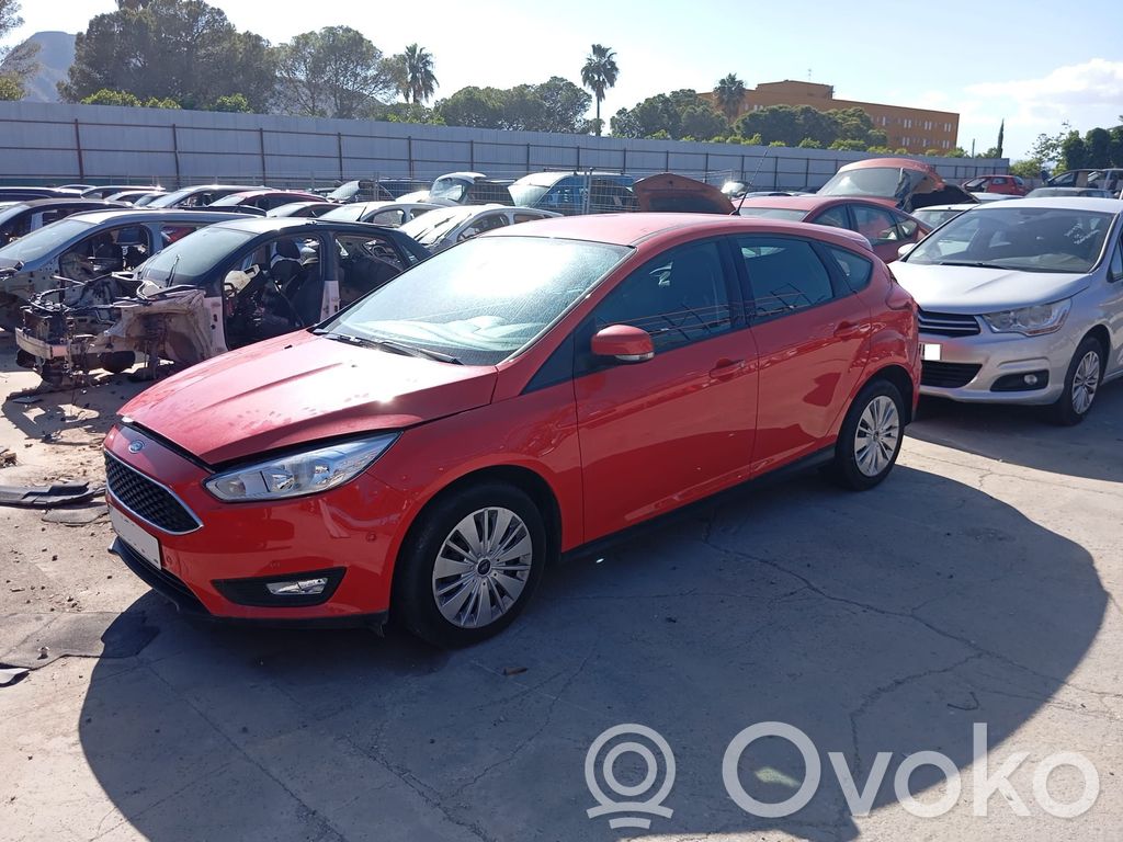 Focus Focus  DM5T14F239AP