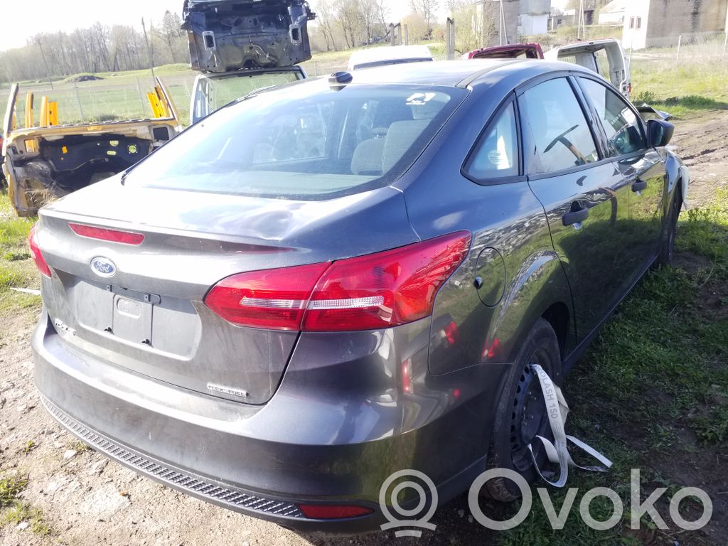 Focus Focus  DM5161294DEW