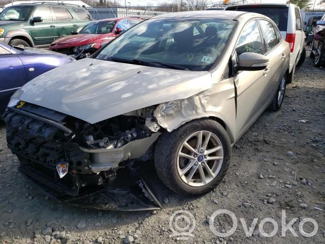 Focus Focus  AV617M121BC
