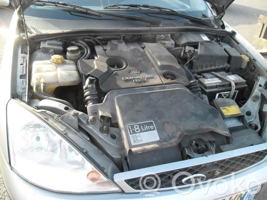 Focus Focus  1343658