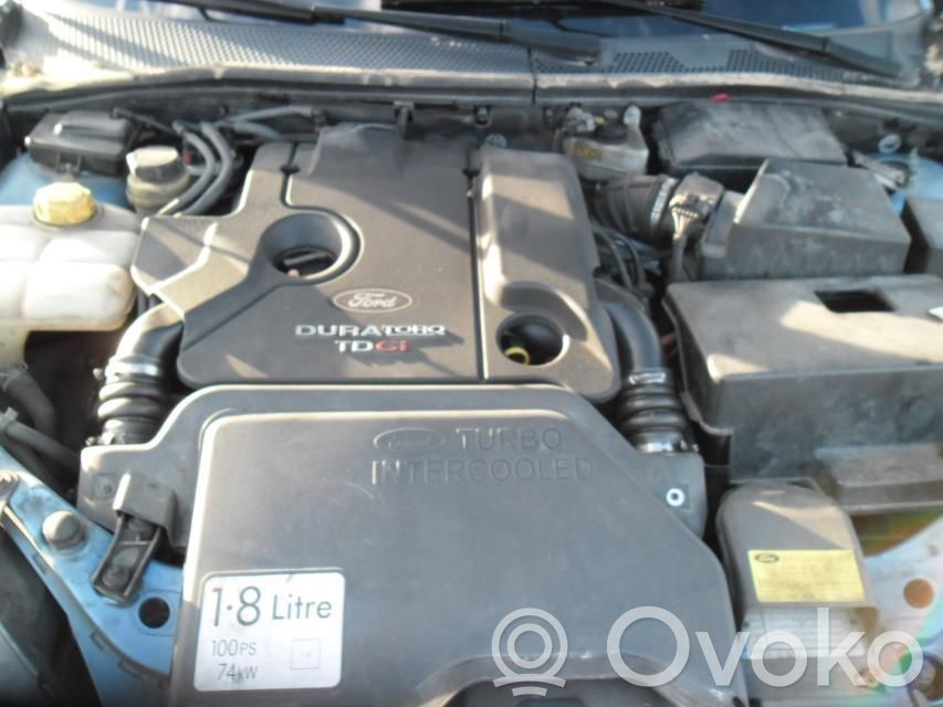 Focus Focus  1371089