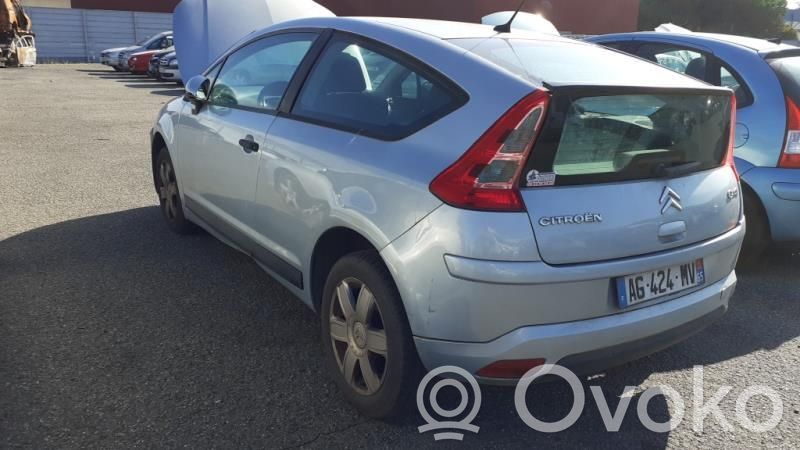 C4 I C4 Picasso, Grand Picasso, Aircross, Cactus  6351T6