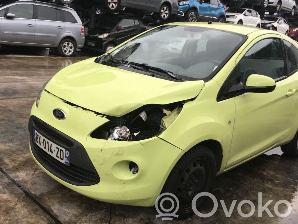 Ka Ka  2315651