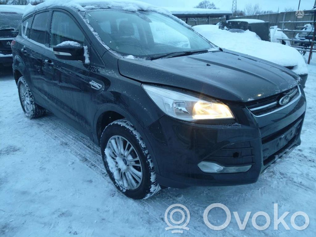 Kuga II Kuga