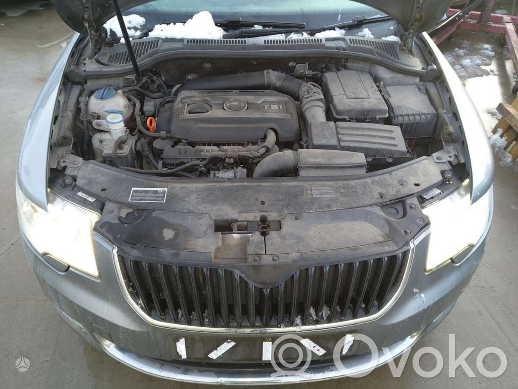 Superb B6 (3T) Superb