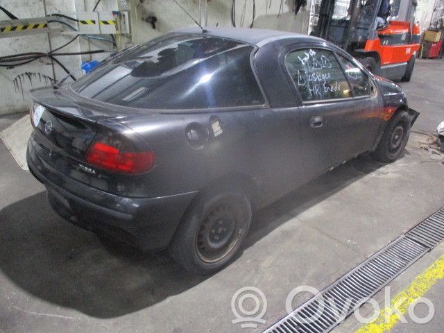 Tigra A Tigra
