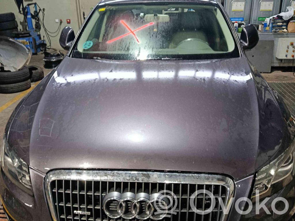 Q5 SQ5 8R Q5, SQ5