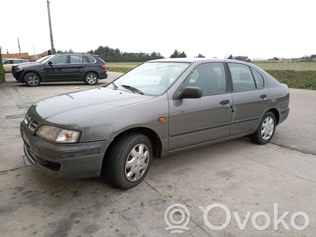 Primera Primera  231002F010