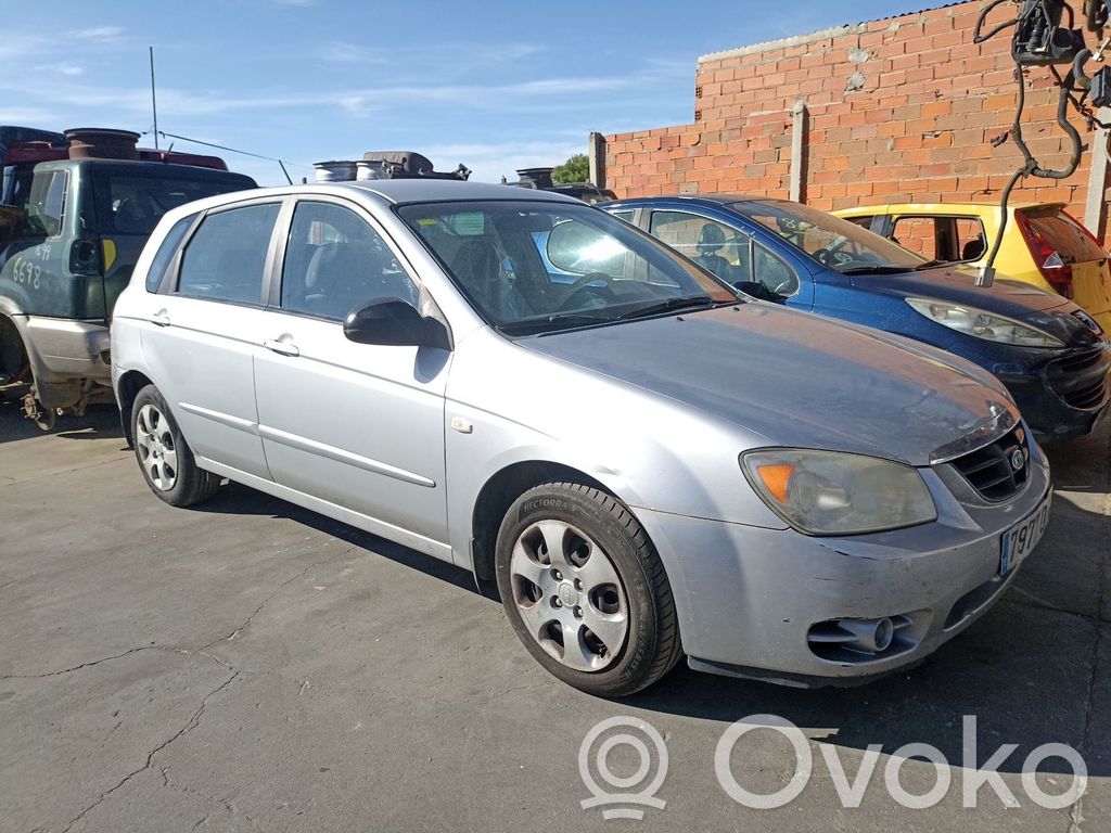 Cerato Cerato  361002A000