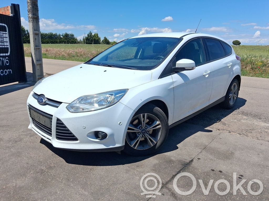 Focus Focus  AV613B437CC