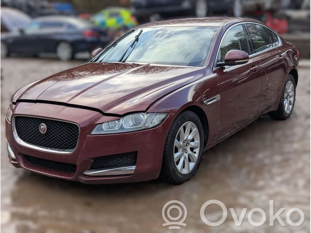 XF XF