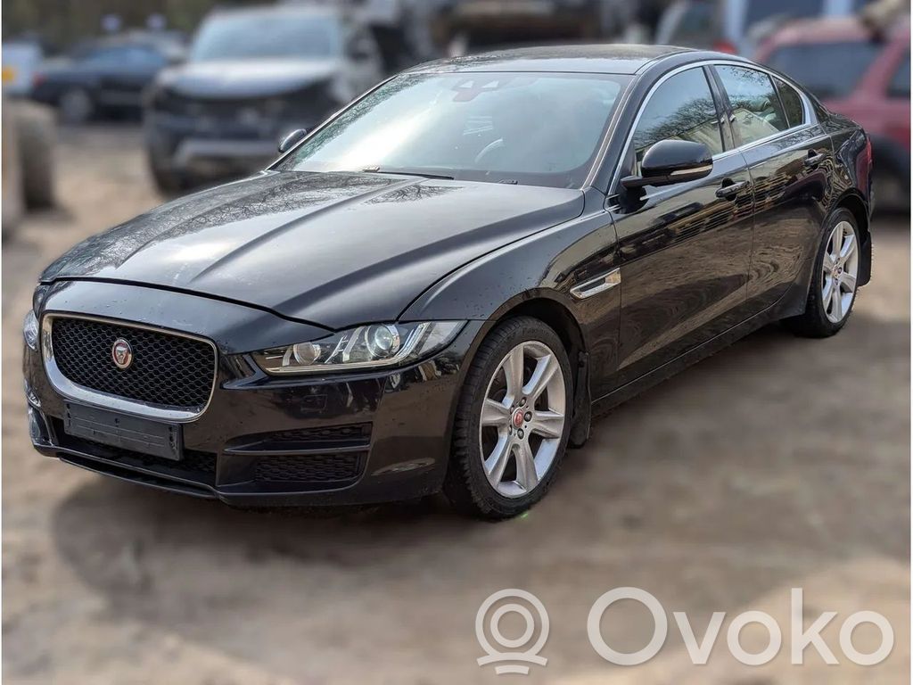 XE XE