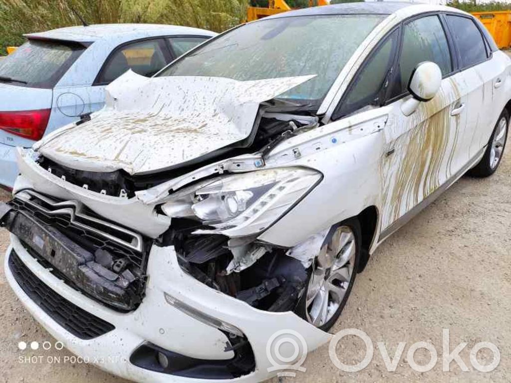 DS5 DS5