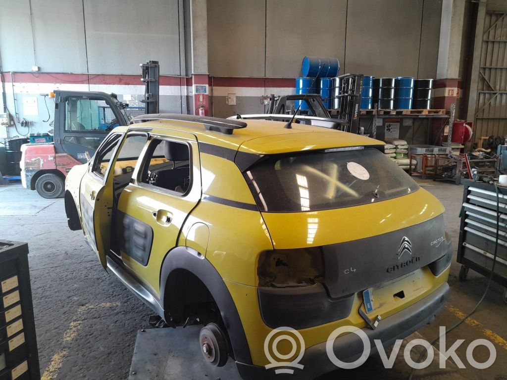 C4 Cactus C4 Picasso, Grand Picasso, Aircross, Cactus