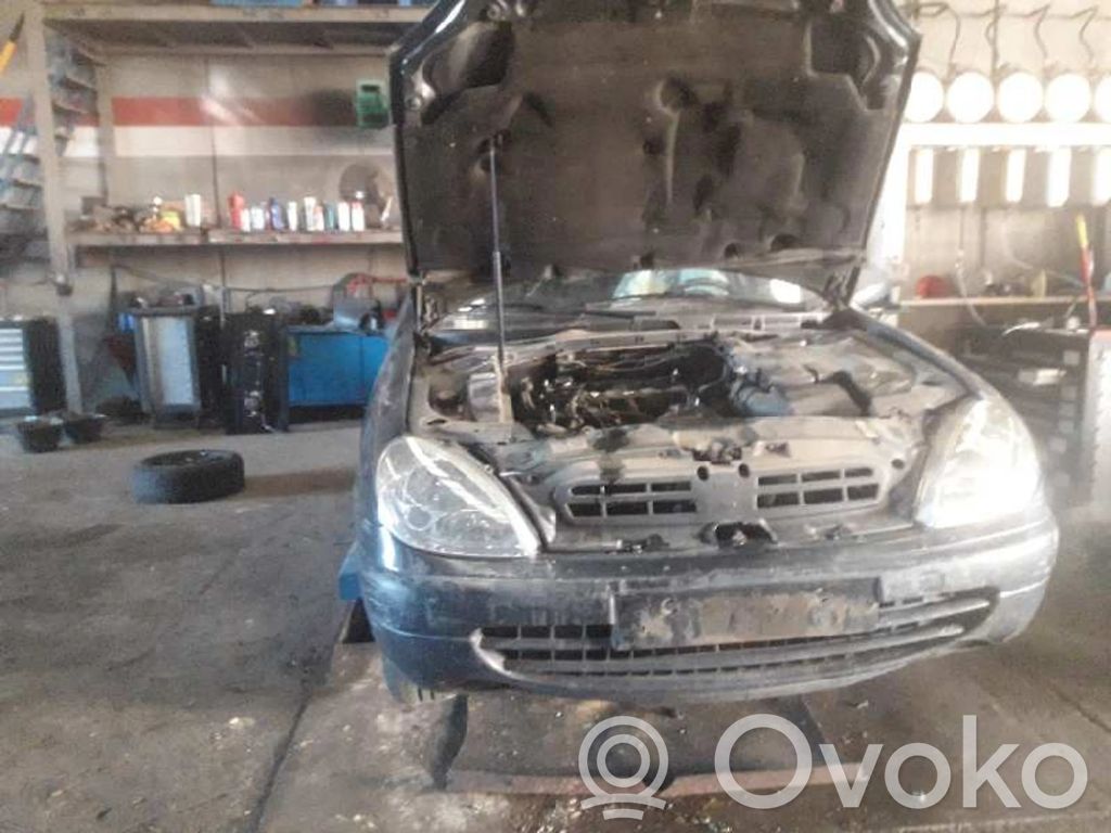 Xsara Xsara, Xsara Picasso