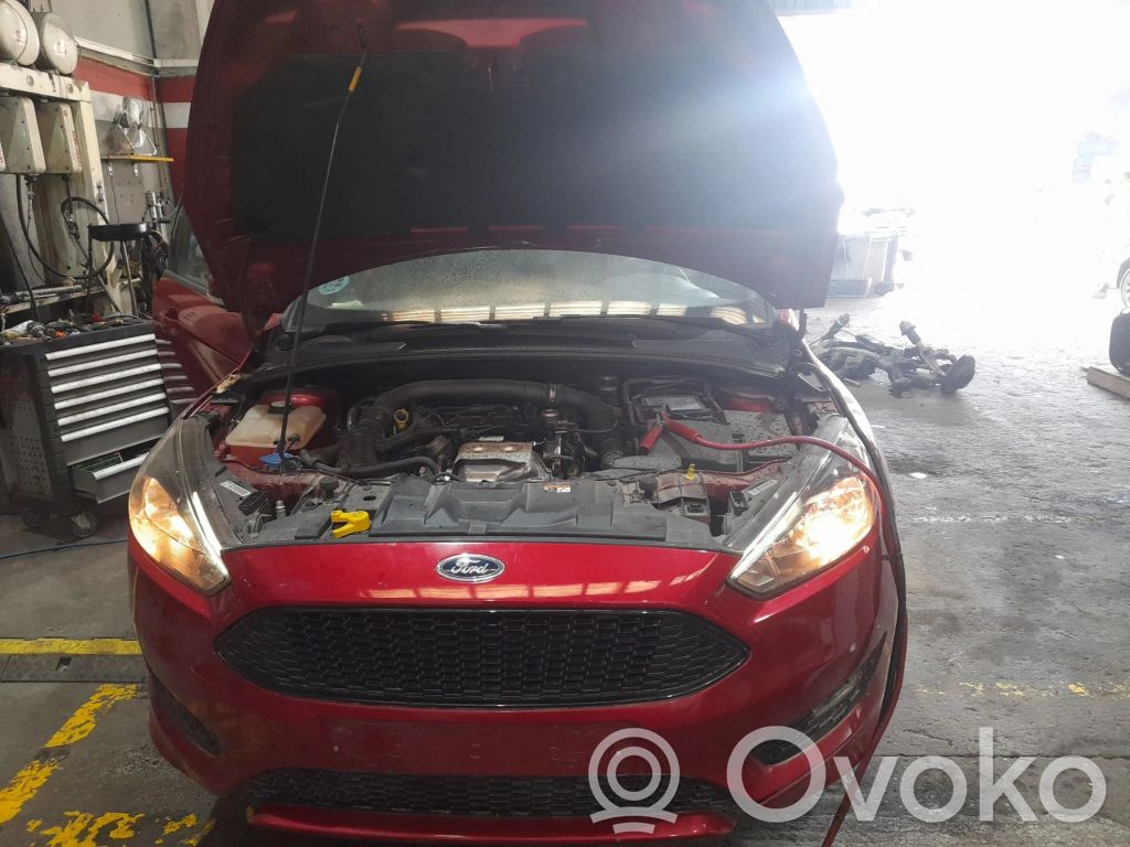 Focus Focus  3401620079