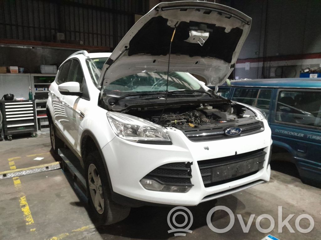 Kuga II Kuga  XRMA