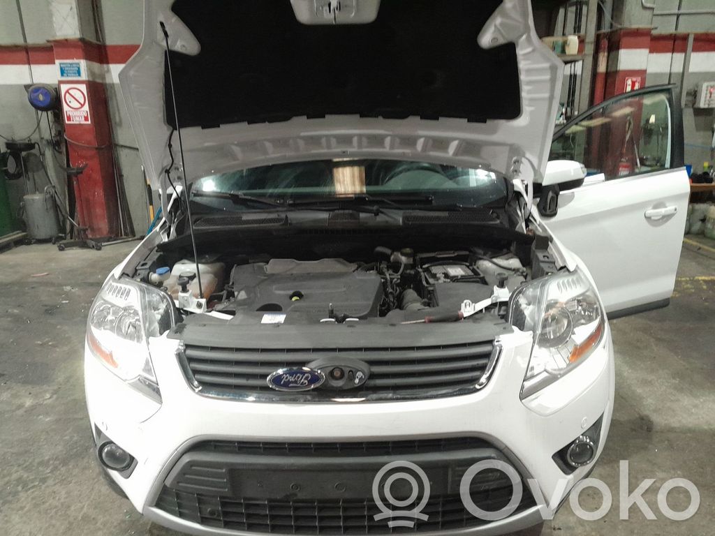 Kuga I Kuga  CV4417A894