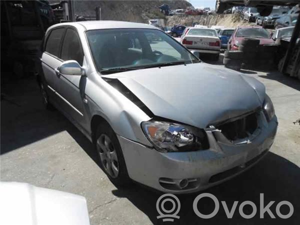 Cerato Cerato  391012A110