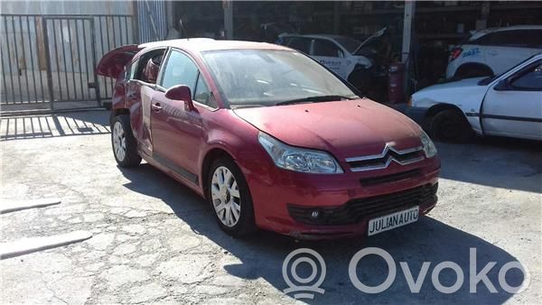 C4 I C4 Picasso, Grand Picasso, Aircross, Cactus  258006185