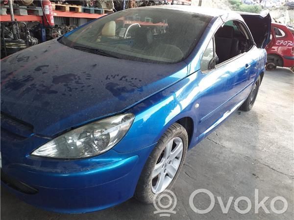 307 CC 307  258006029