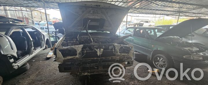 Terrano Terrano