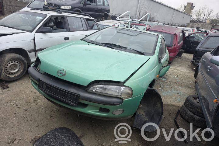 Tigra A Tigra