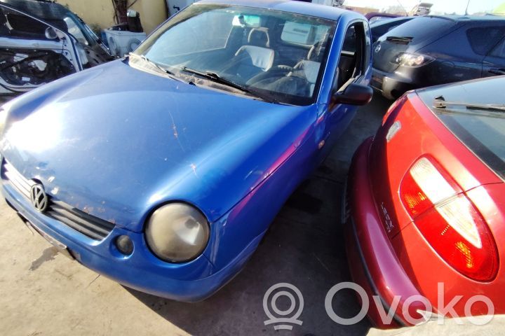 Lupo Lupo