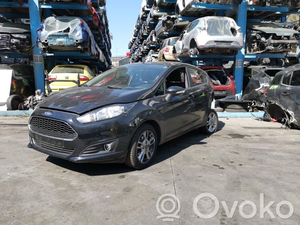 Fiesta Fiesta  F1B112A650BDB