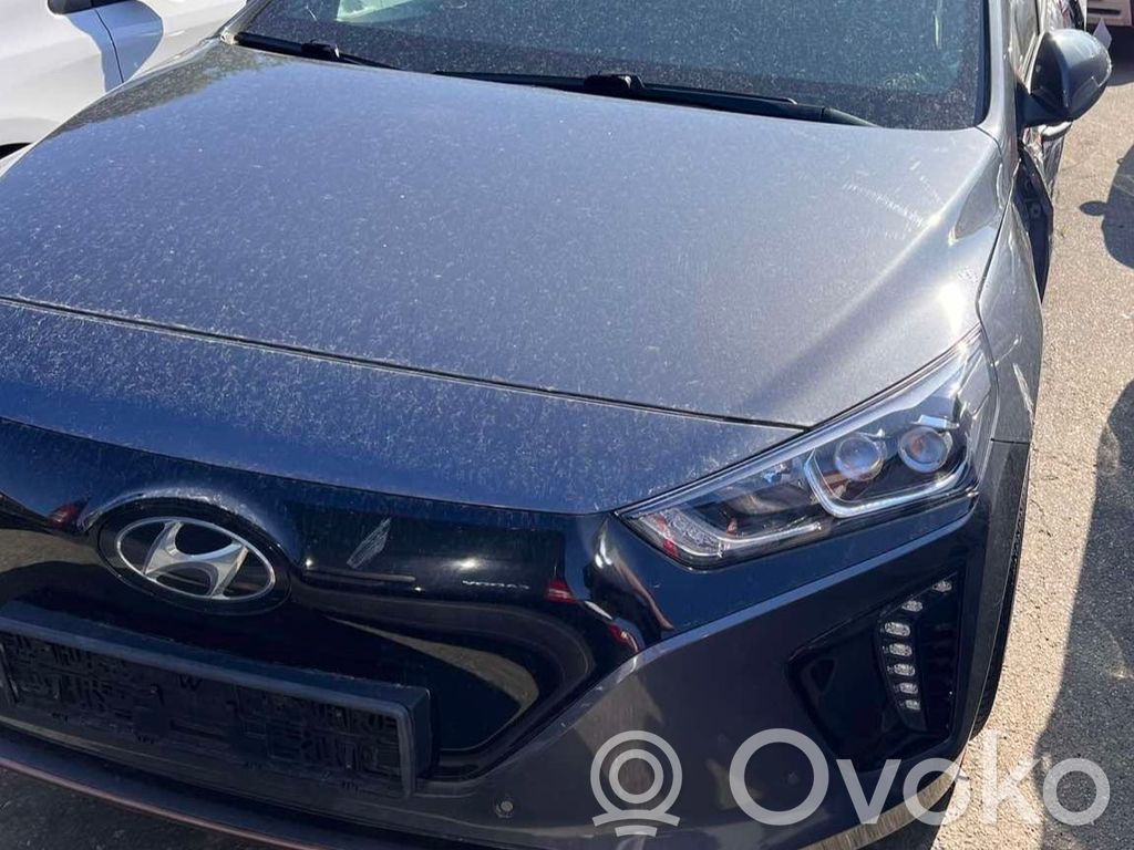 Ioniq Ioniq  59790G7000