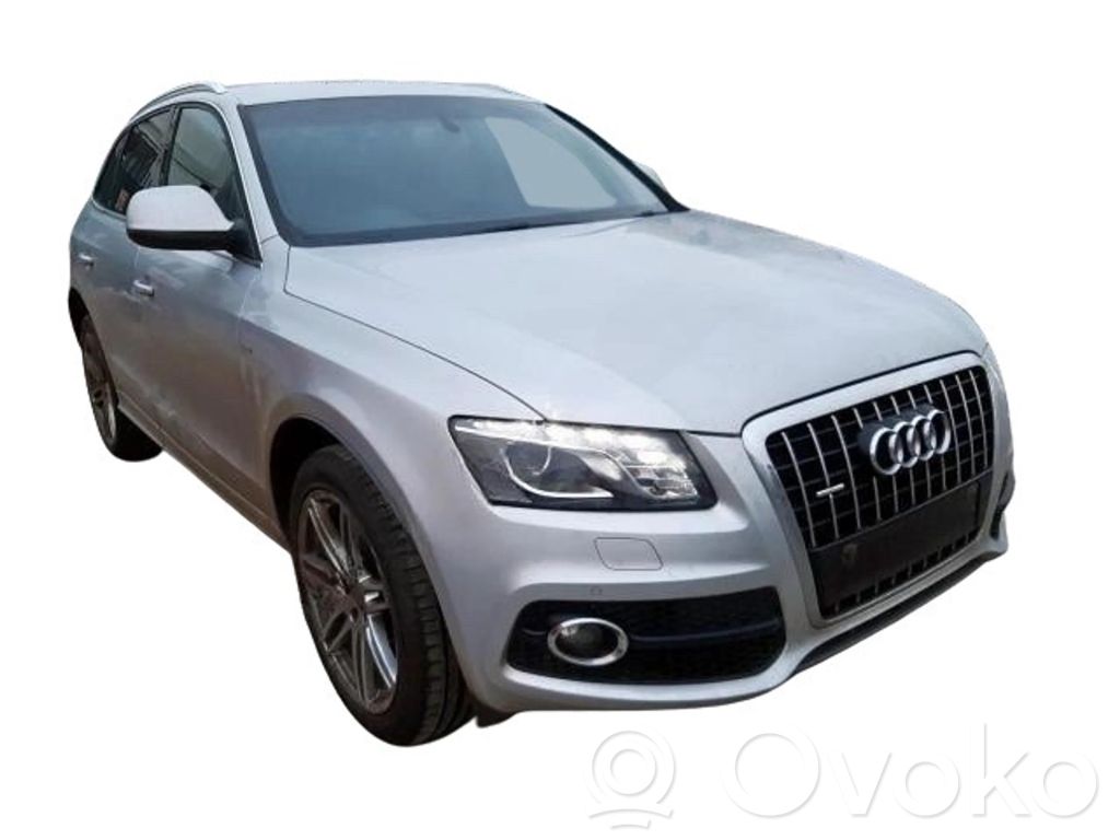 Q5 SQ5 8R Q5, SQ5  059109133T