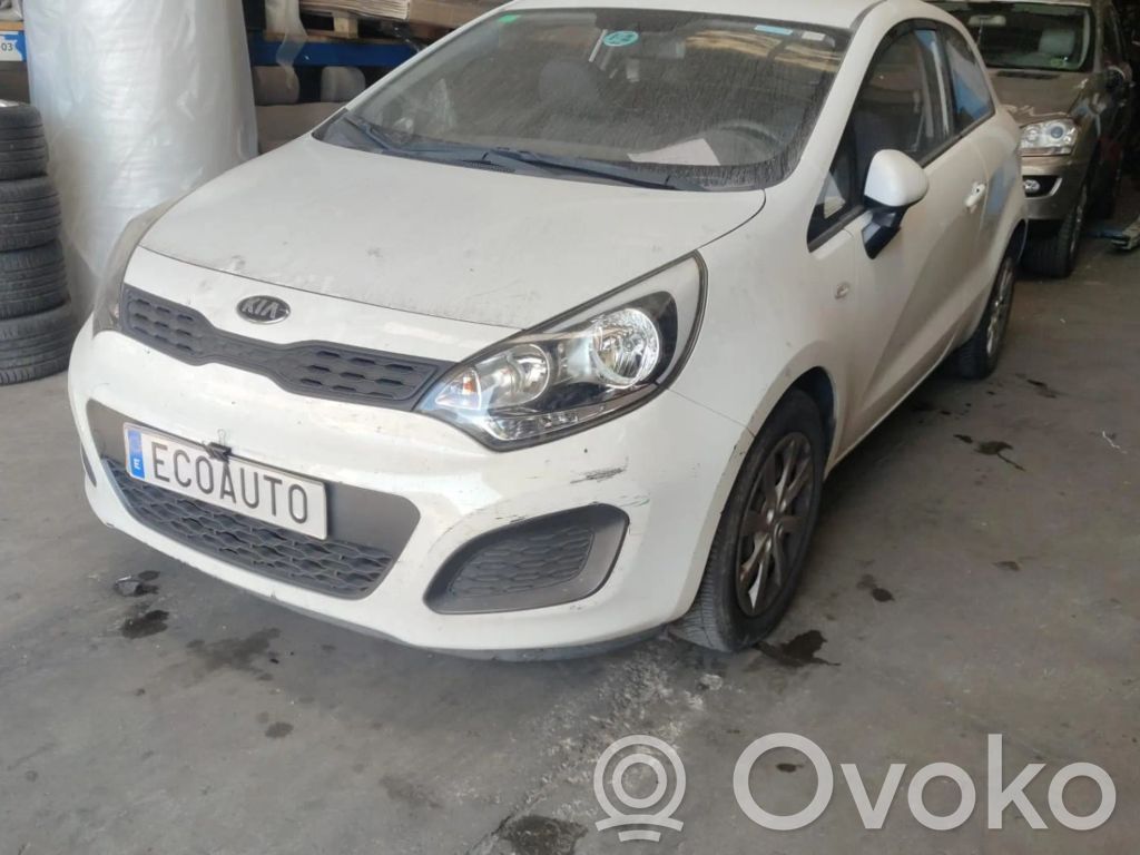 Rio Rio  3730003350