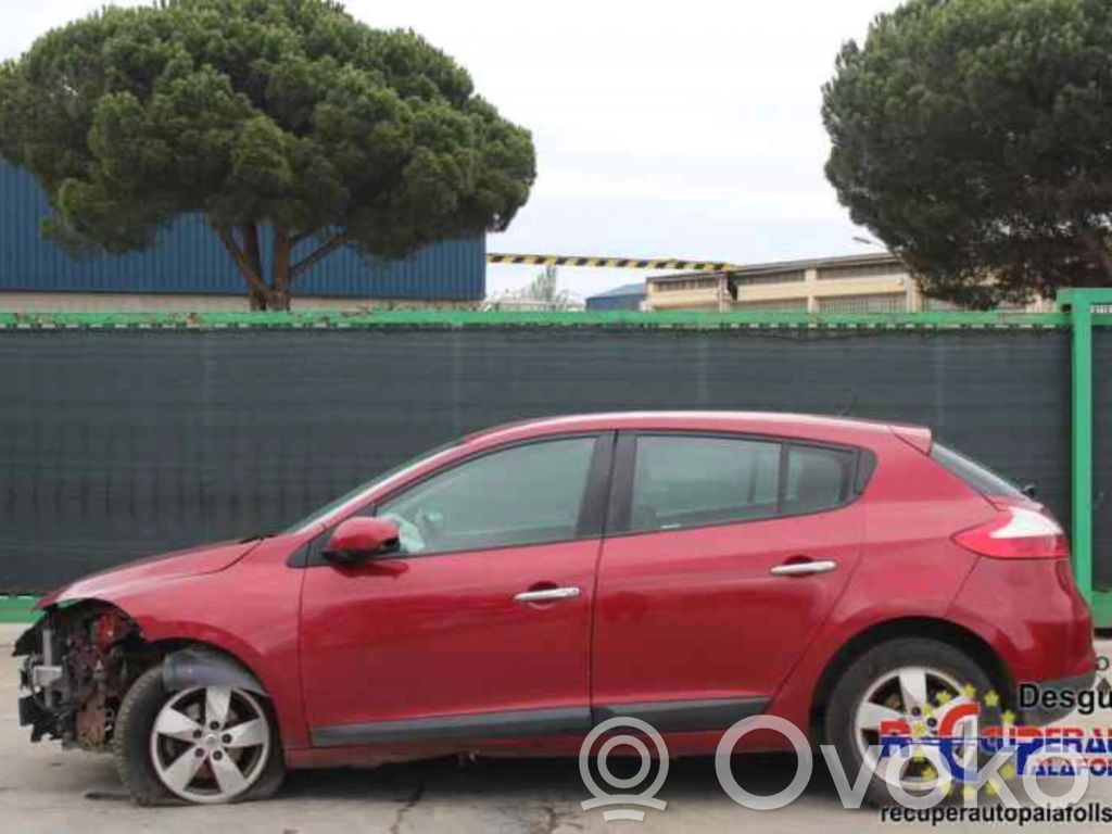 Megane III Megane  80502000