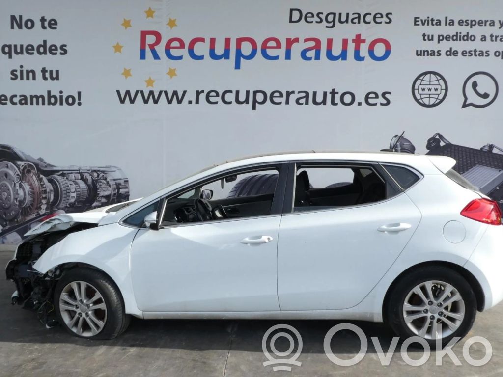 Ceed Ceed, Ceed SW, Pro Ceed  32021