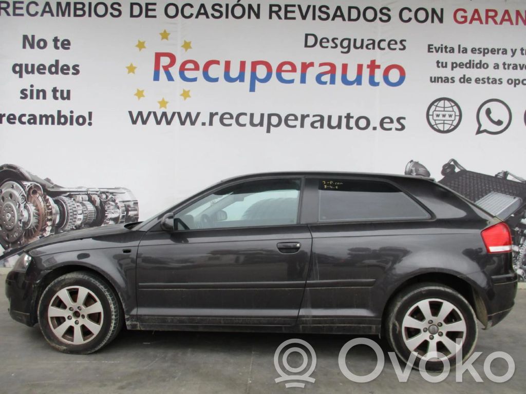 A3 S3 8P A3, S3  02T911023M