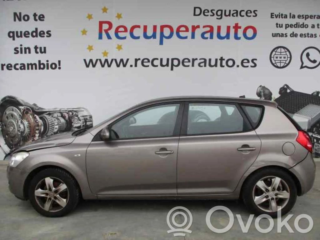 Ceed Ceed, Ceed SW, Pro Ceed  934201H300