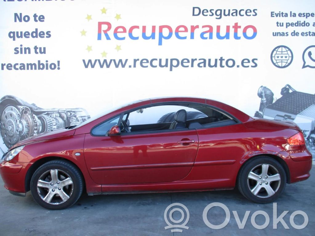 307 CC 307  IAW6LP151