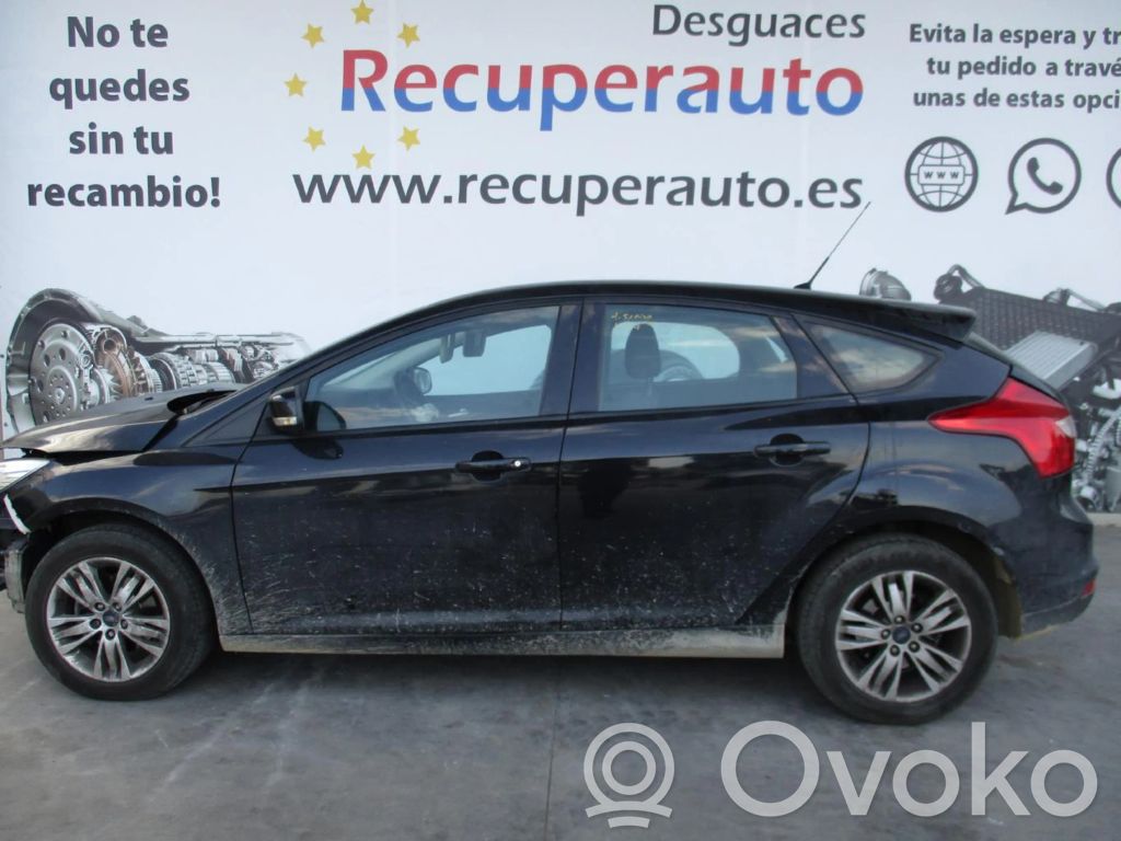 Focus Focus  BV612C405AL