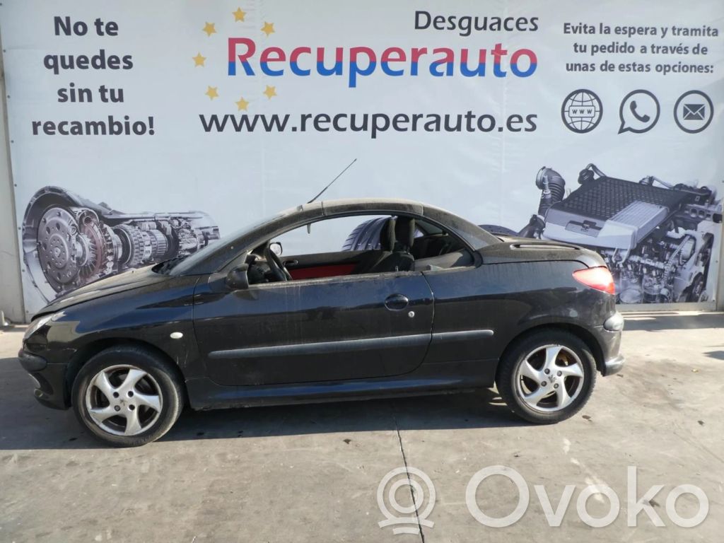 206 CC 206, 206+  8EL011710031