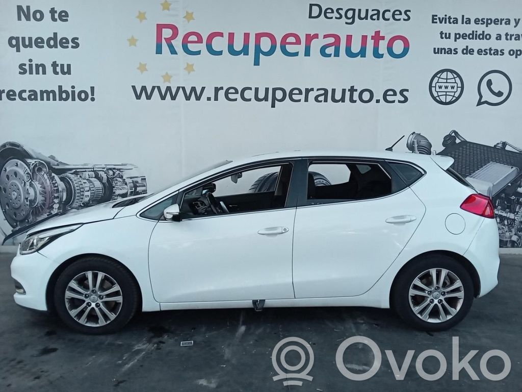 Ceed Ceed, Ceed SW, Pro Ceed  284102A300