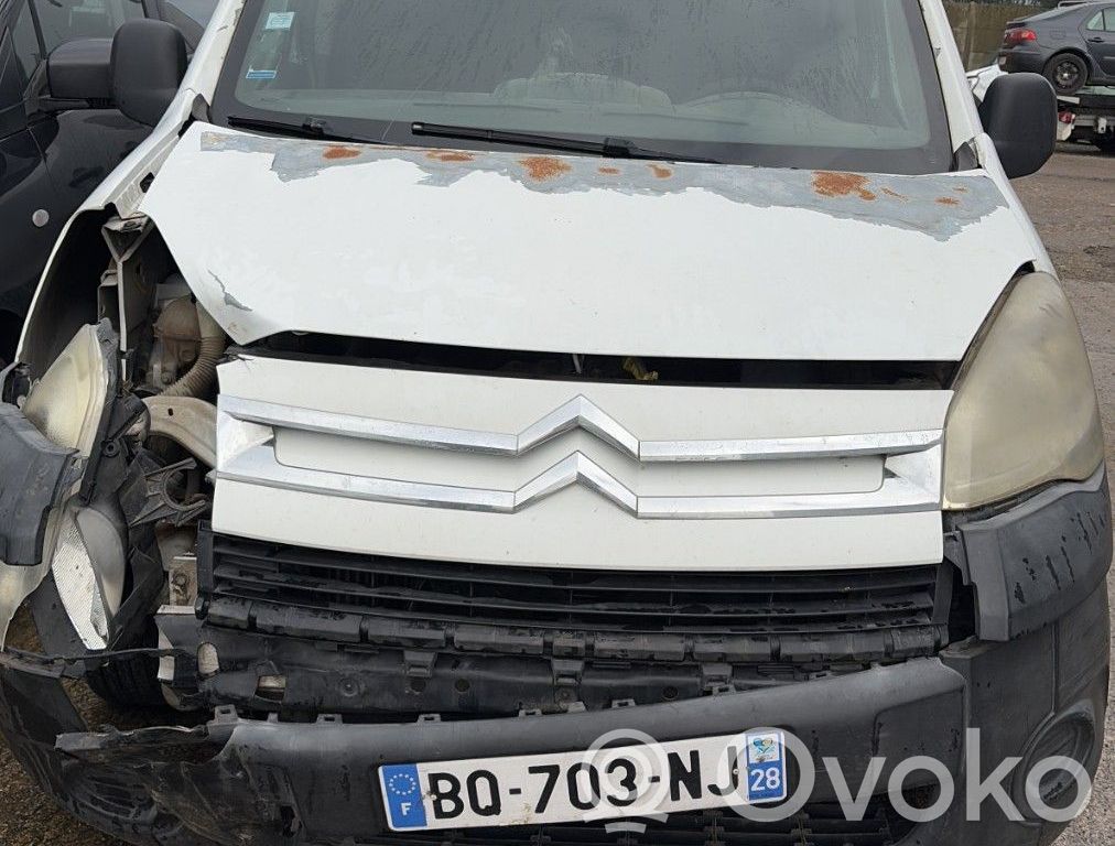 Berlingo Berlingo  00006441AS