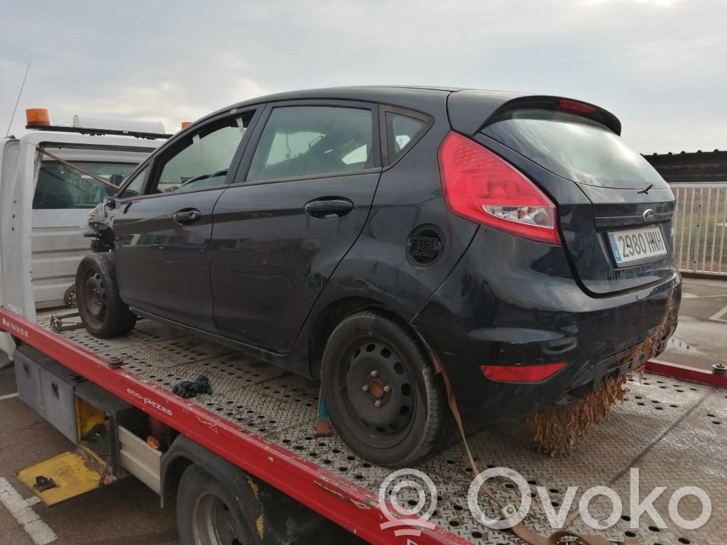 Fiesta Fiesta  1756848