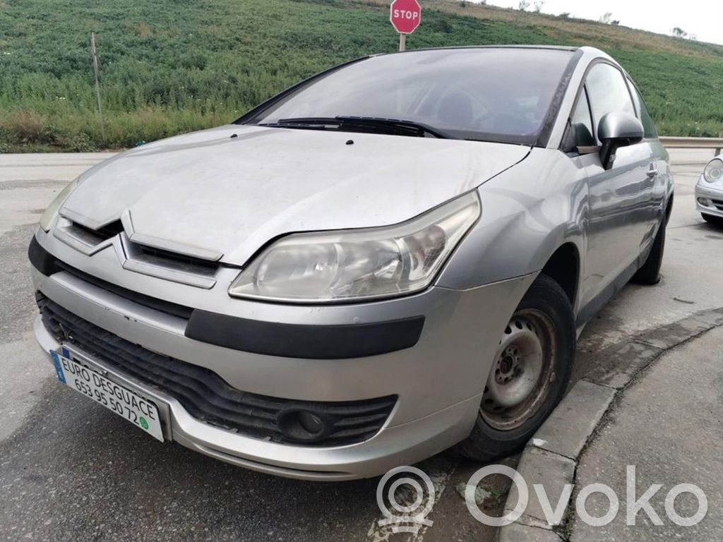C4 I C4 Picasso, Grand Picasso, Aircross, Cactus  0265950517