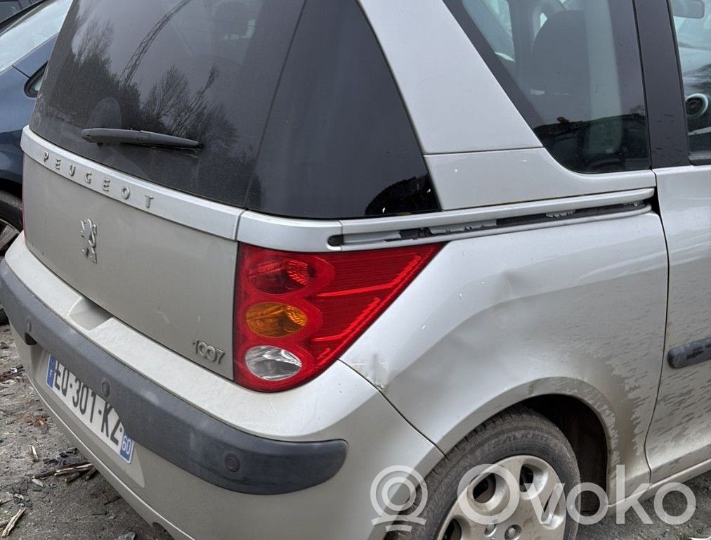 1007 1007  8974V8