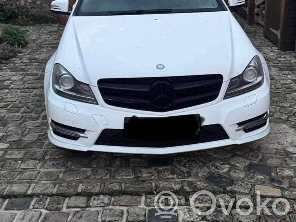 C W204 C-class, AMG (W202, W203, W204, W205, W206)  A2049004408